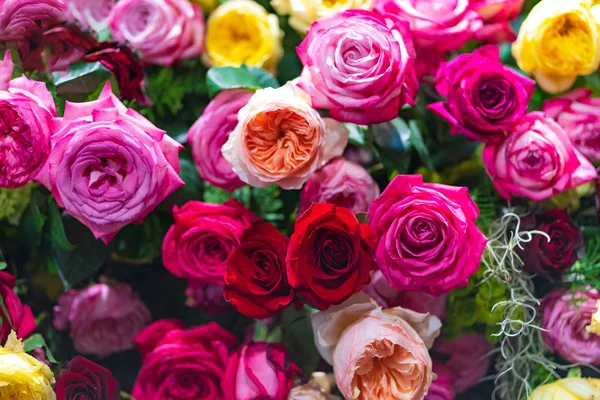 Top Rain-Loving Flowers to Add Splash to Your Indian Garden